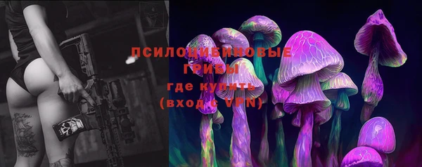 меф Алексин