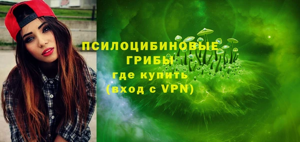 меф Алексин